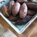 Review: SOMA Chocolate, Toronto