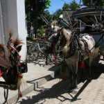 Travel to Gili Trawangan, Indonesia 