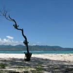 Travel to Gili Trawangan, Indonesia 