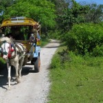 Travel to Gili Trawangan, Indonesia 