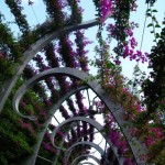 Travel to Brisbane, Australia