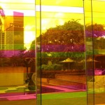 Travel to Brisbane, Australia
