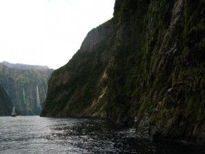 n120802809 40967527 1128608