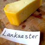 Canadian Cheese Grand Prix 2011 and Krombacher Pils Tasting