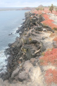 IMG 7019
