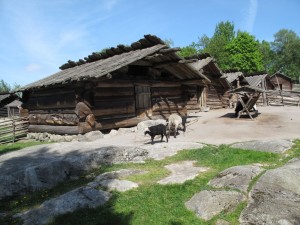 IMG_0077