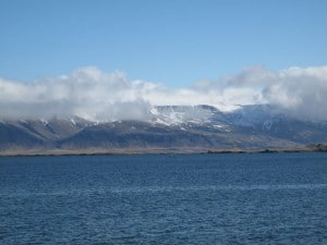 IMG 1627