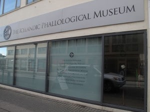 IMG_1631