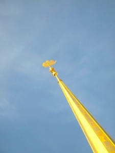 IMG 5255