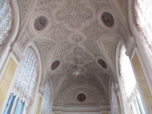 IMG_5368