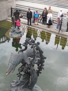 IMG 6294
