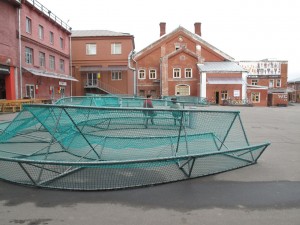 IMG 6776