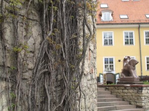 IMG 7095