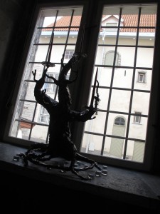 IMG 7516