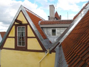 IMG 7541