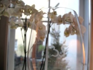 IMG 7577