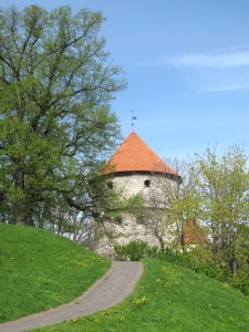 IMG 7730