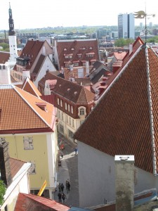 IMG 7777