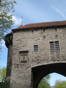 IMG 7833