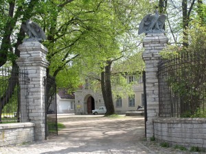 IMG_8069