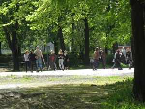 IMG 8312