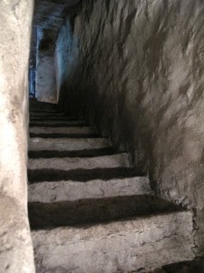 IMG 8350
