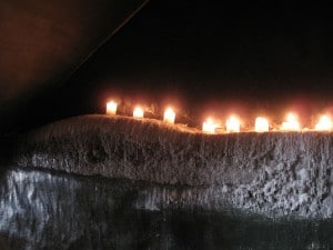 IMG 8456