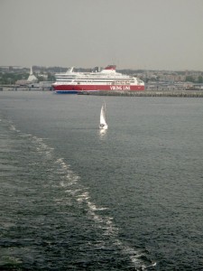 IMG 8657