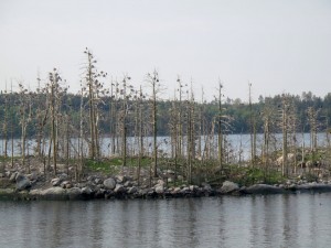 IMG 8870