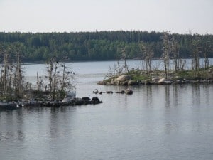 IMG 8872