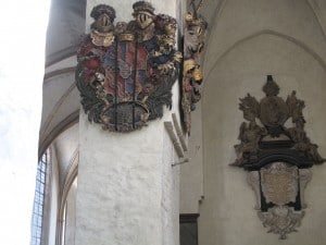 IMG 9256