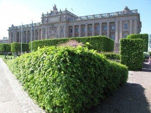 IMG_9288