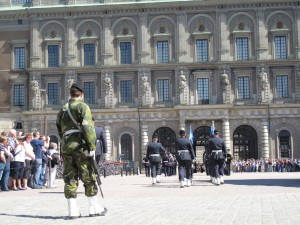 IMG 9352