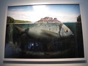 IMG 9481