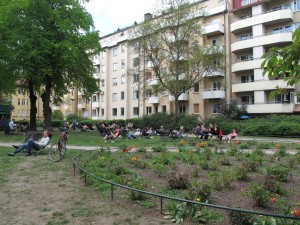 IMG_9487