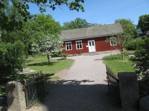 IMG 9987