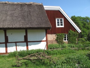 IMG 9991