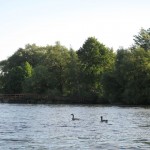 Canoe and Beach Dining Adventure with The Culinary Adventure Company