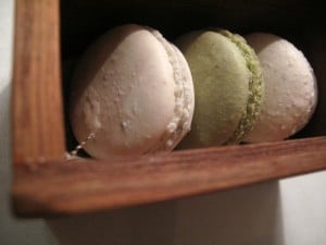 IMG 9231