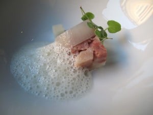 IMG 9555