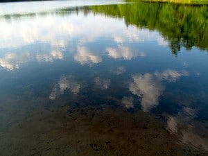 IMG 3529