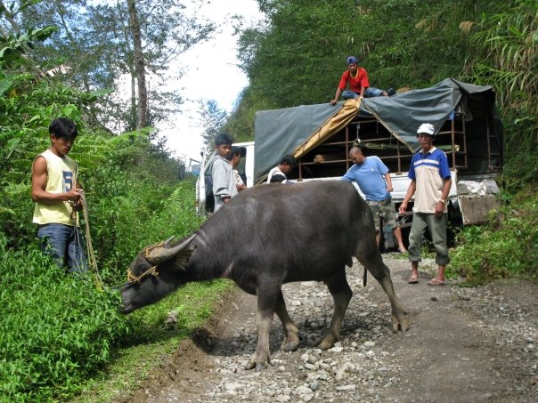 n120802809_39765574_3597