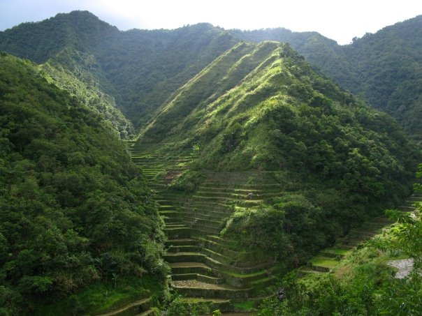 n120802809_39765587_7084