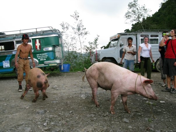 n120802809_39765588_7359