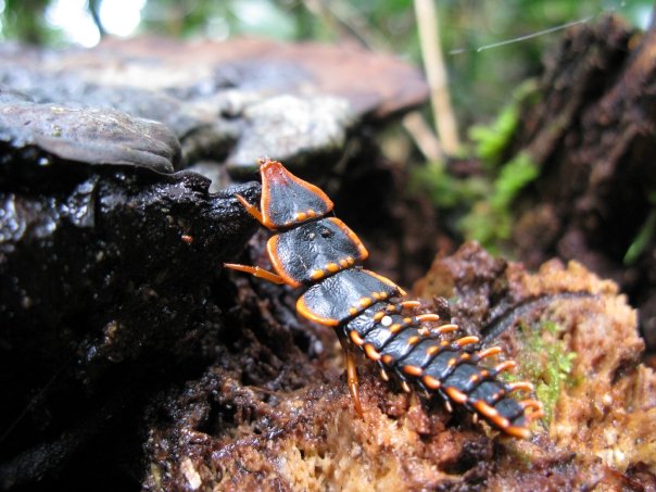 n120802809_39791025_2405