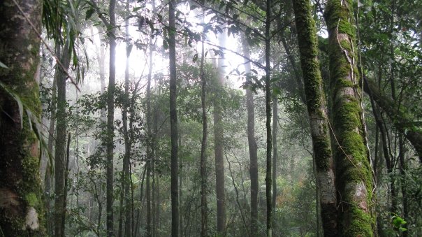 n120802809_39791035_4961