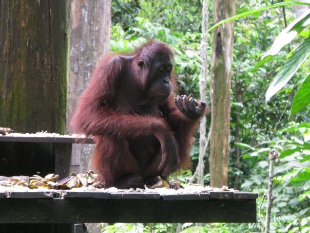 n120802809_39791073_4353