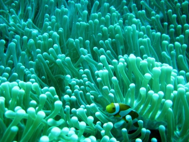 n120802809_39832487_9679