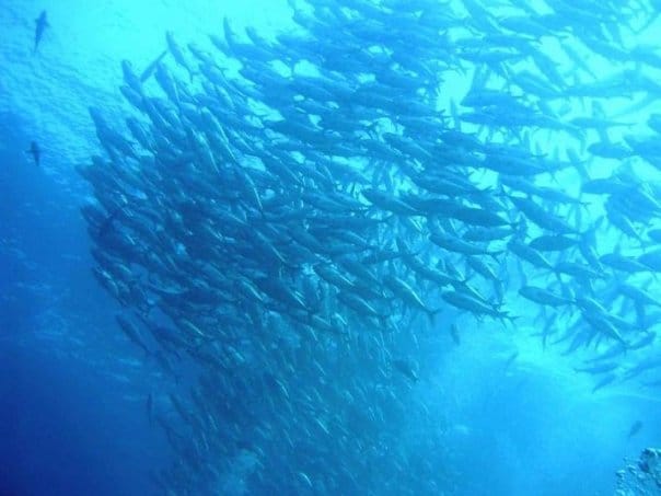 n120802809_39832669_3070