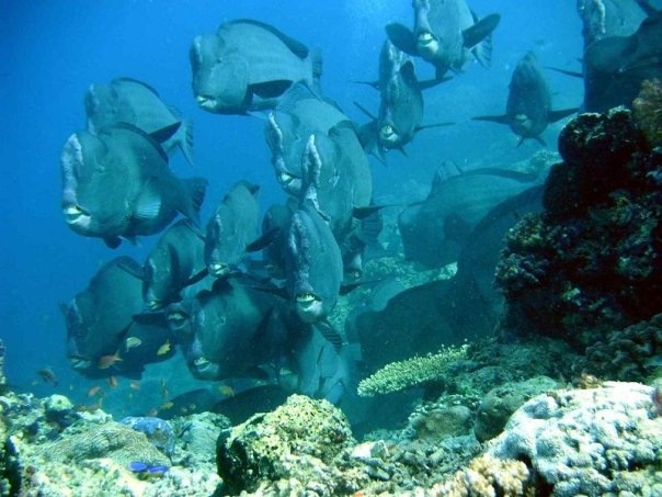 n120802809_39832674_3758